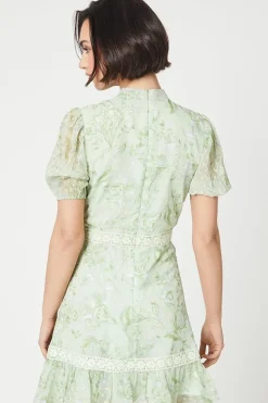 Sage Floral Dobby Chiffon Lace Trim Mini Dress
