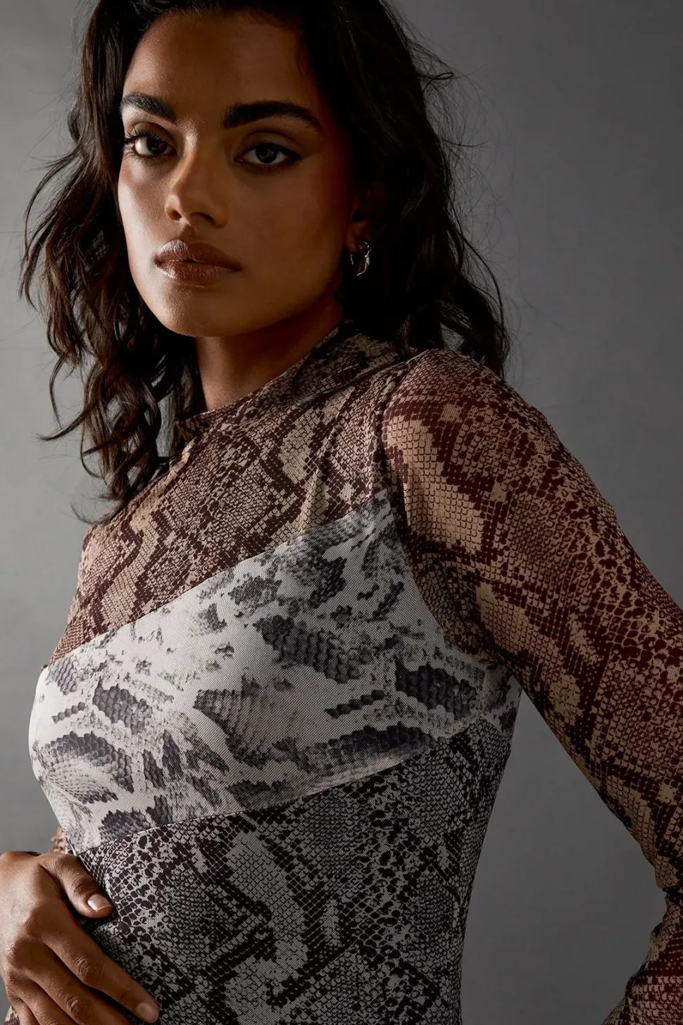 Snake Panelled Print Mesh Midi Dress
