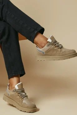 Sofia Faux Suede Lace Up Trainer