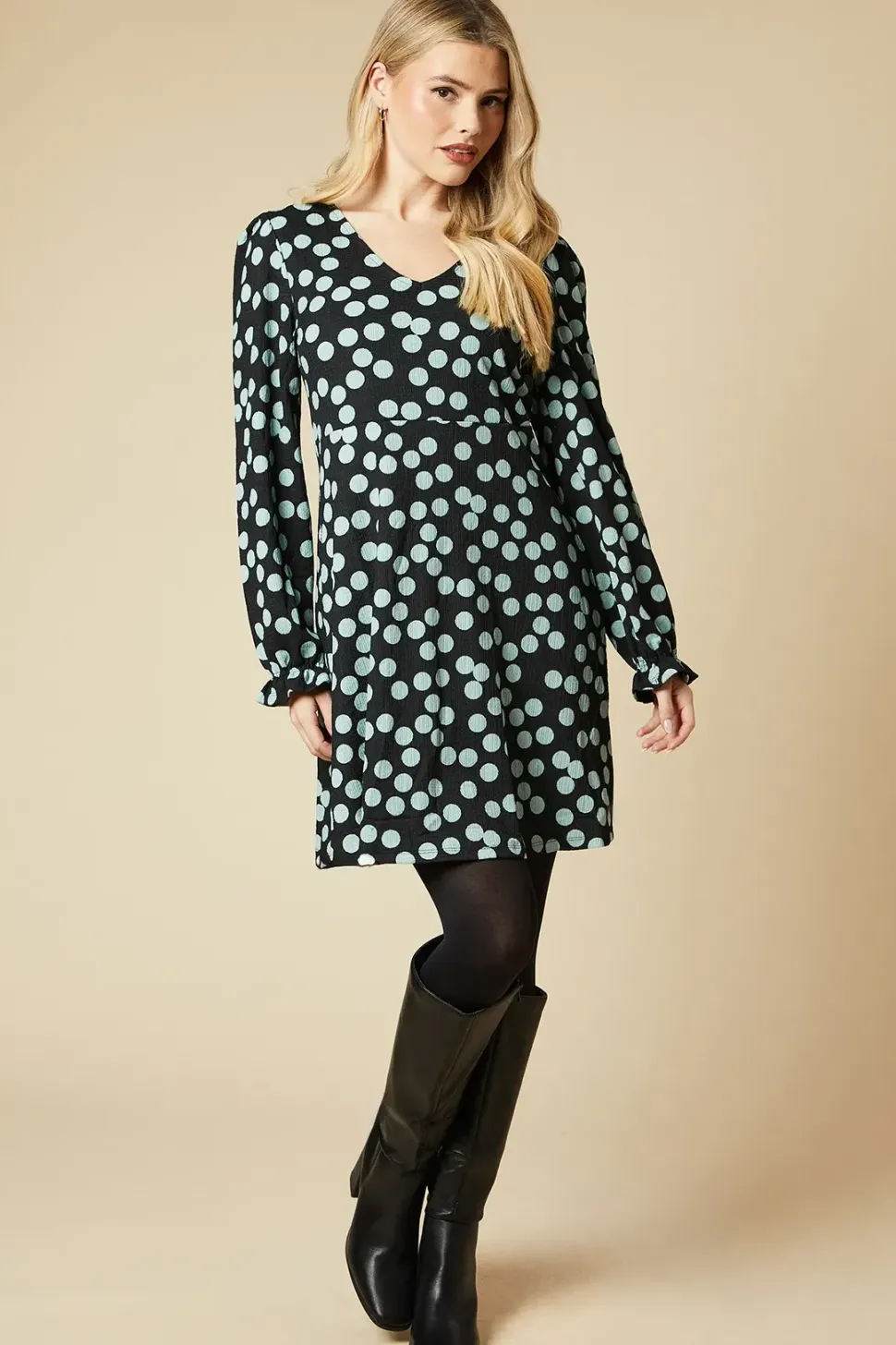 Spot Long Sleeve V Neck Mini Dress