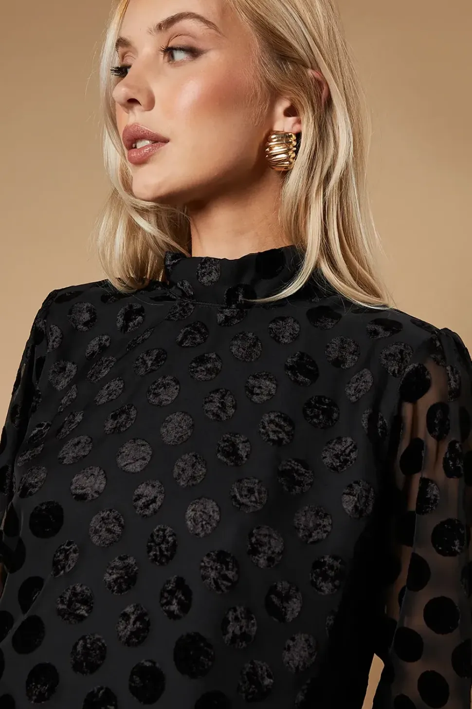 Spot Velvet High Neck Button Detail Blouse