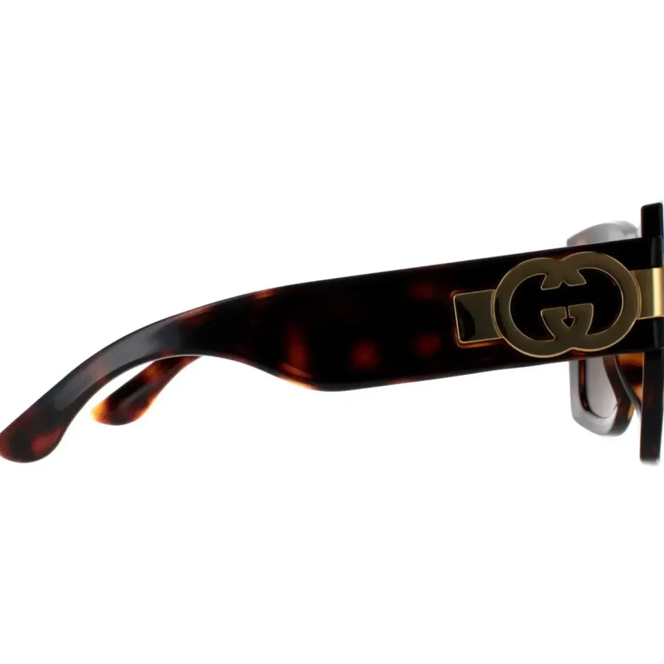 Square Dark Havana with Gold Brown GG1688S
