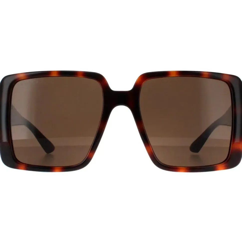 Square Dark Havana with Gold Dark Brown GG1692S