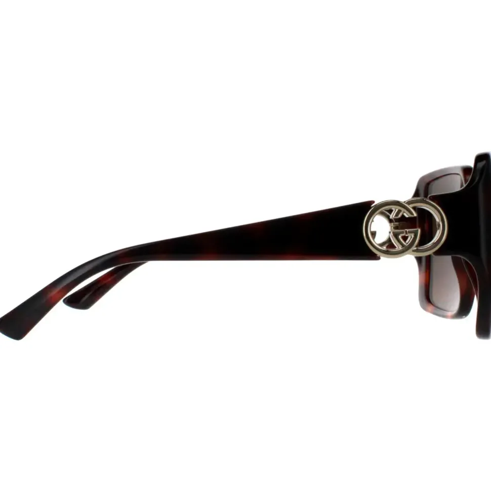 Square Dark Havana with Gold Dark Brown GG1692S