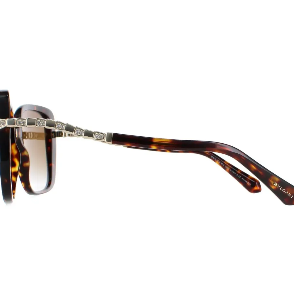 Square Havana Brown Gradient Polarized BV8237B