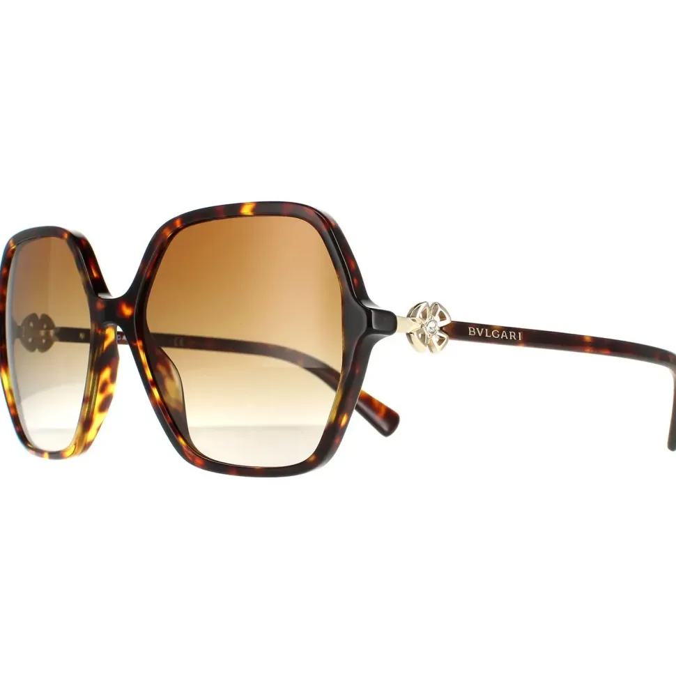 Square Havana Brown Gradient Polarized BV8238B