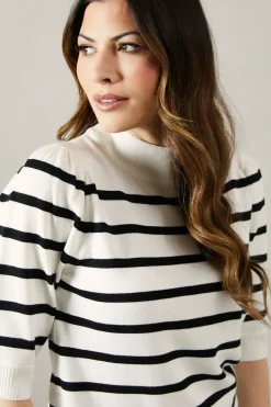 Striped Puff Sleeve Fine Gauge Knitted Top