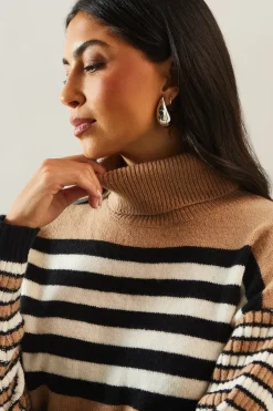 Striped Roll Neck Slouchy Jumper