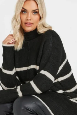 Stripe High Neck Jumper