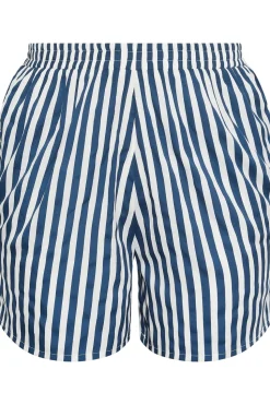 Stripe Print Shorts