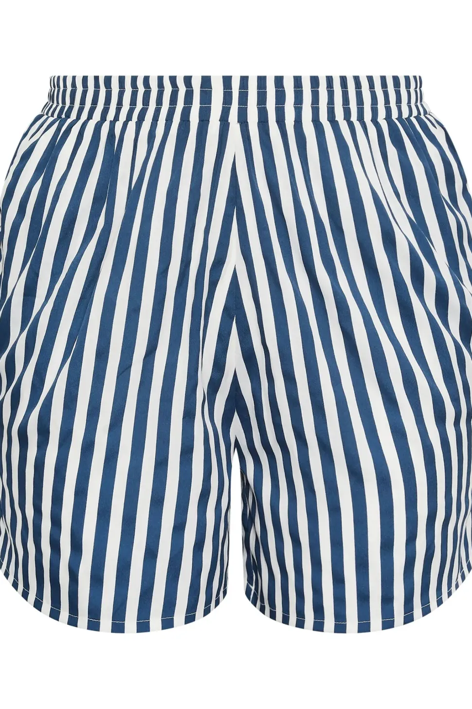 Stripe Print Shorts