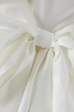 Taffeta Bow Back Puff Sleeve Mini Dress