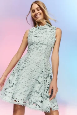 The Collector Applique Lace Mini Dress