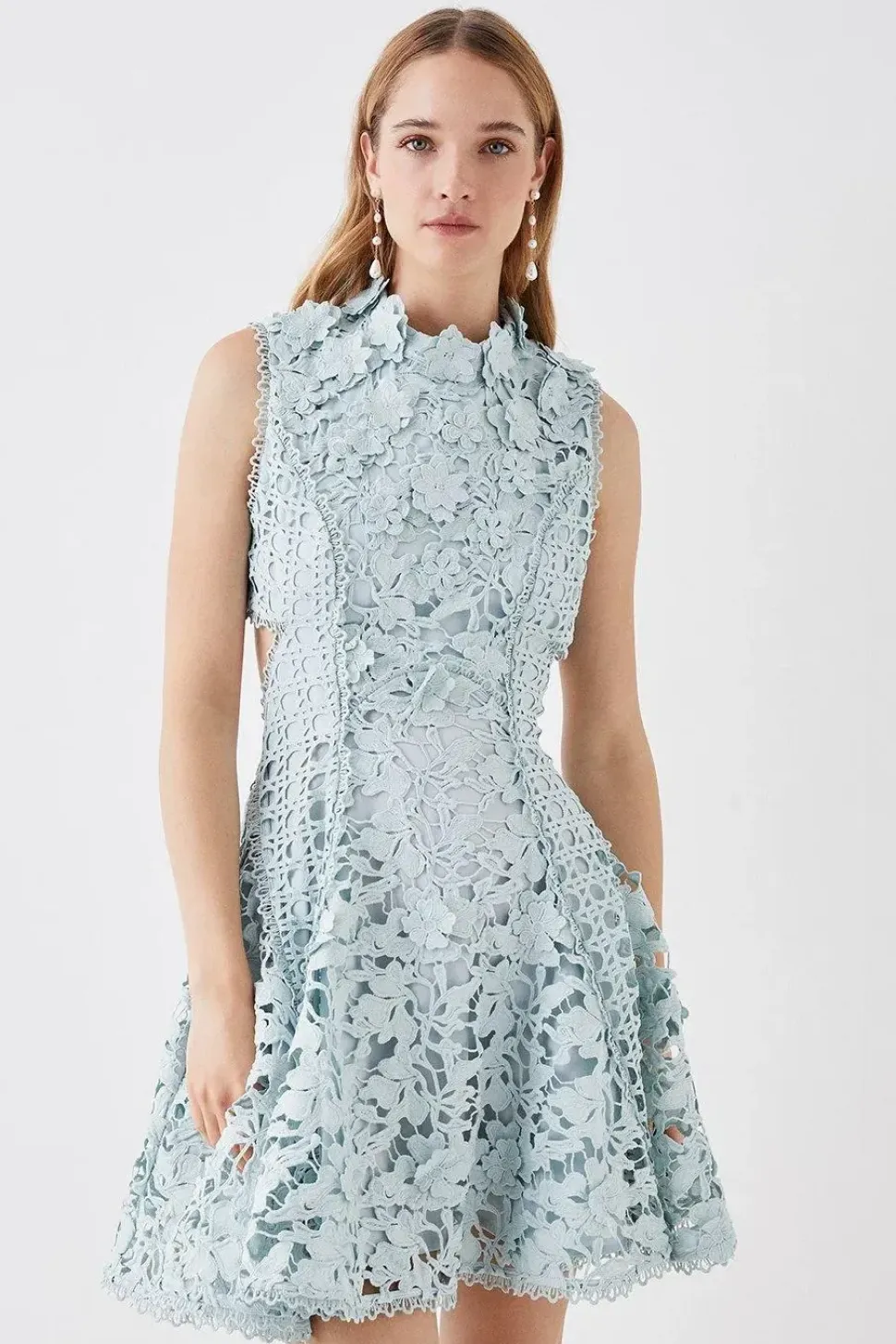 The Collector Applique Lace Mini Dress