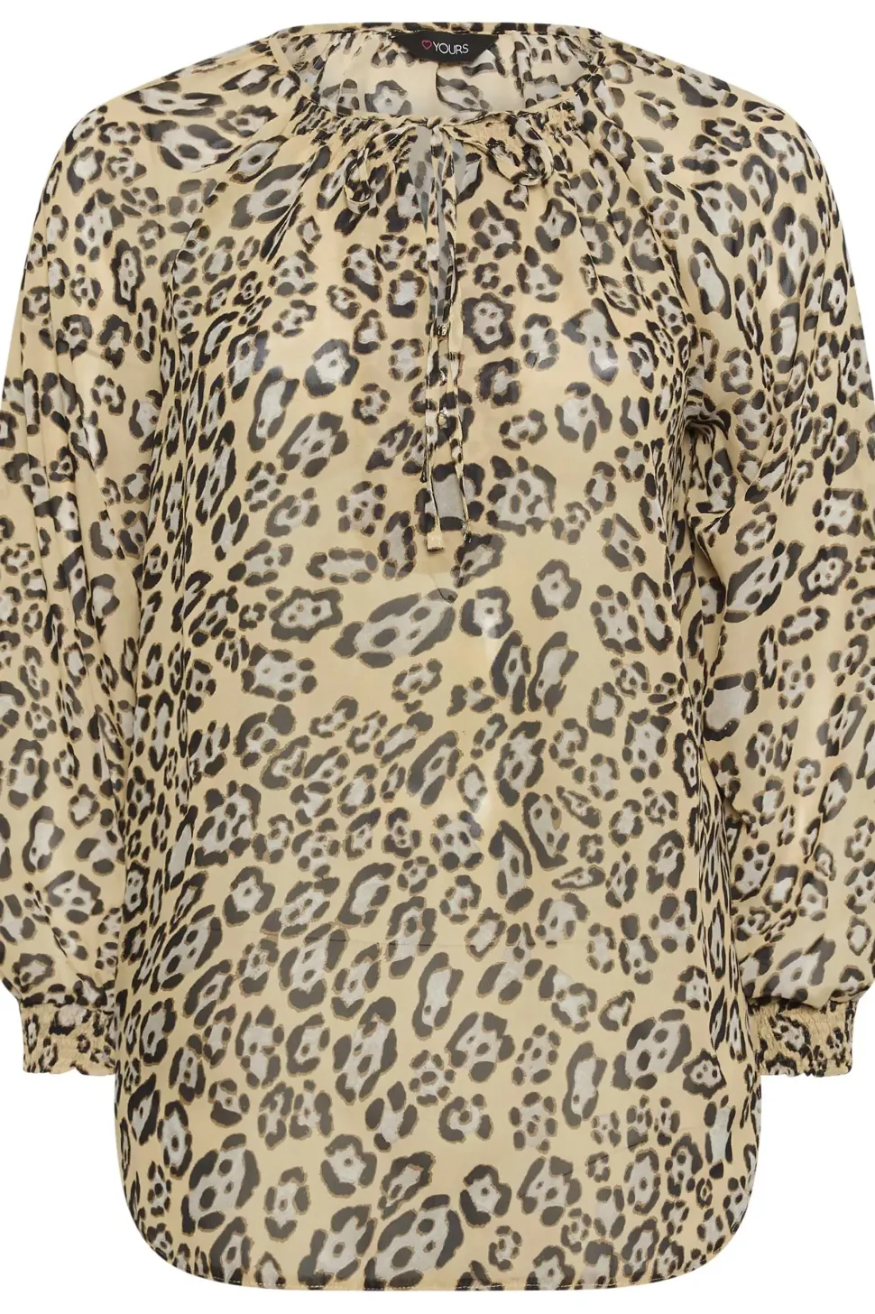 Tie Neck Blouse