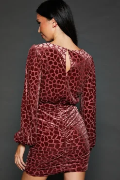 Velvet Animal Burnout Ruched Skirt Mini Dress