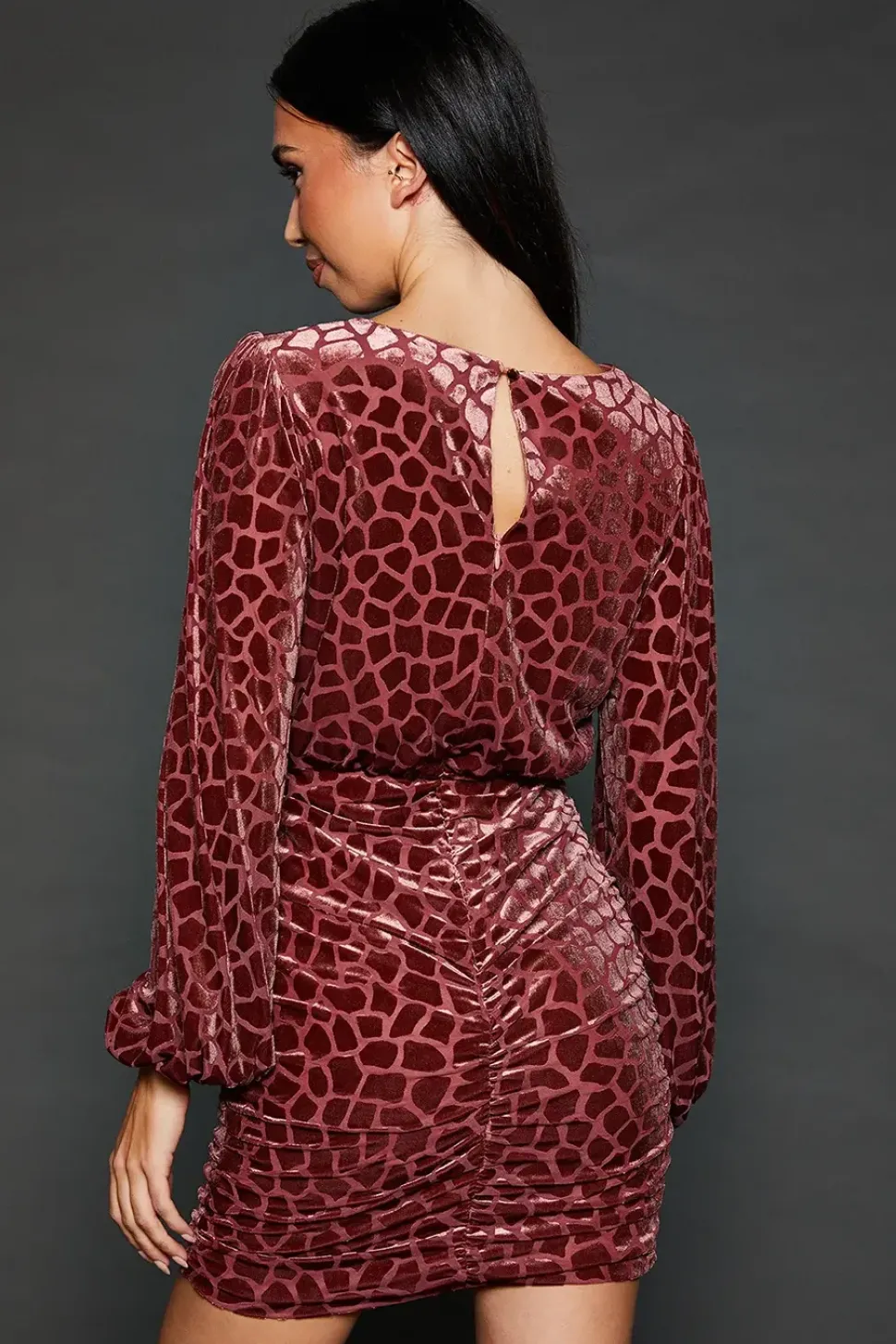 Velvet Animal Burnout Ruched Skirt Mini Dress