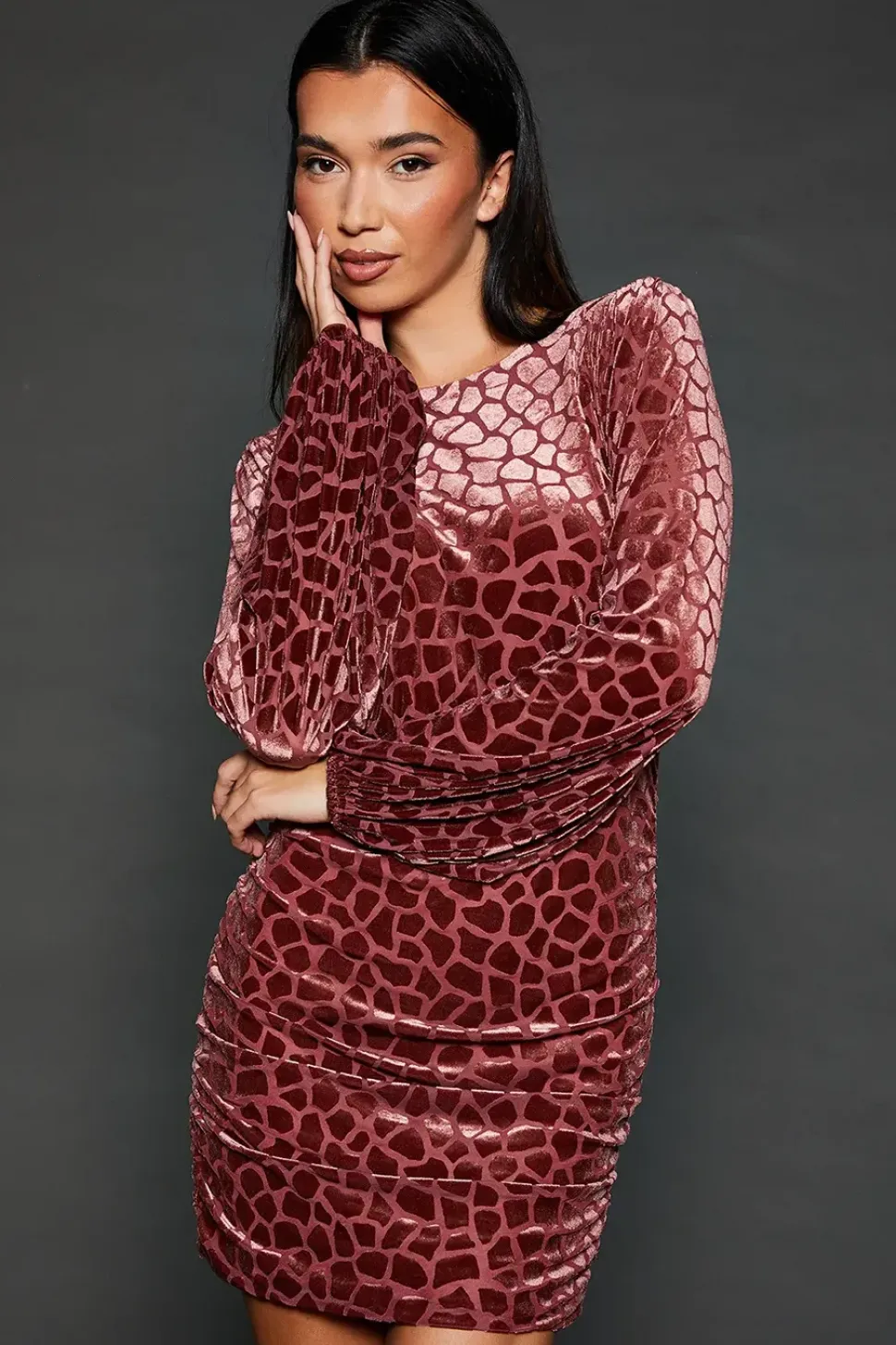 Velvet Animal Burnout Ruched Skirt Mini Dress