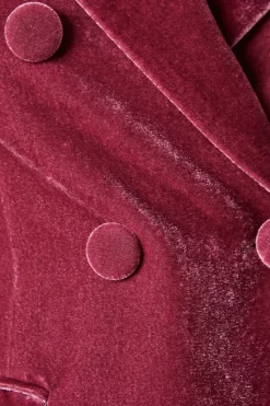 Velvet Double Breasted Blazer