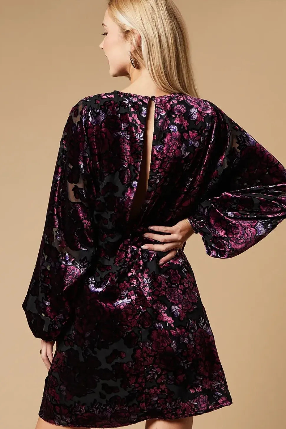 Velvet Long Sleeve Mini Dress