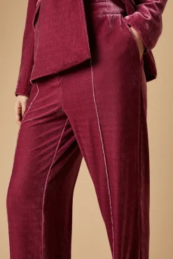 Velvet Wide Leg Trouser