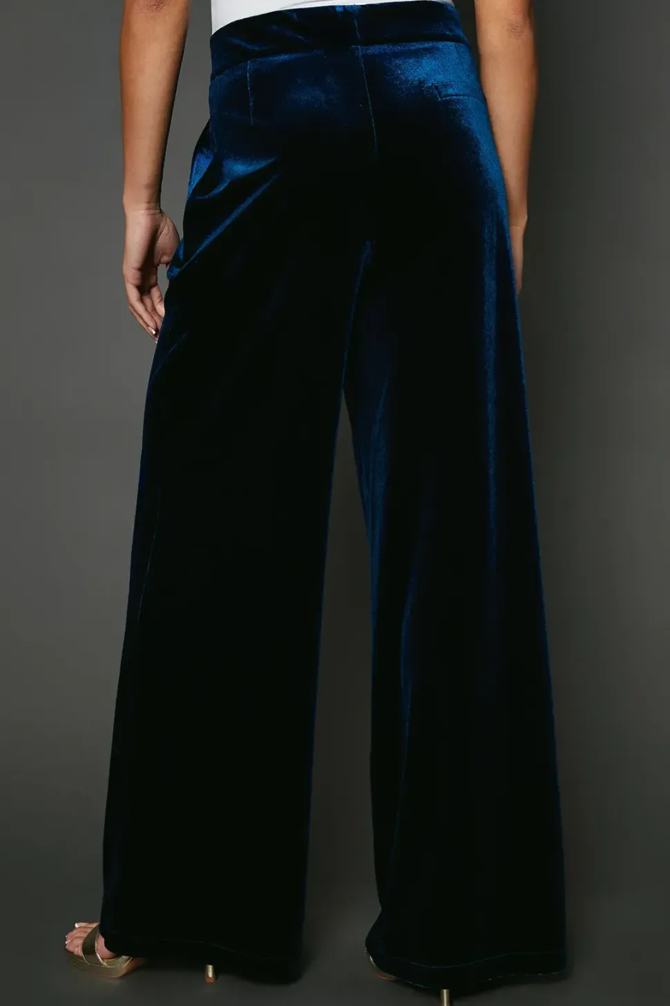 Velvet Wide Leg Trouser
