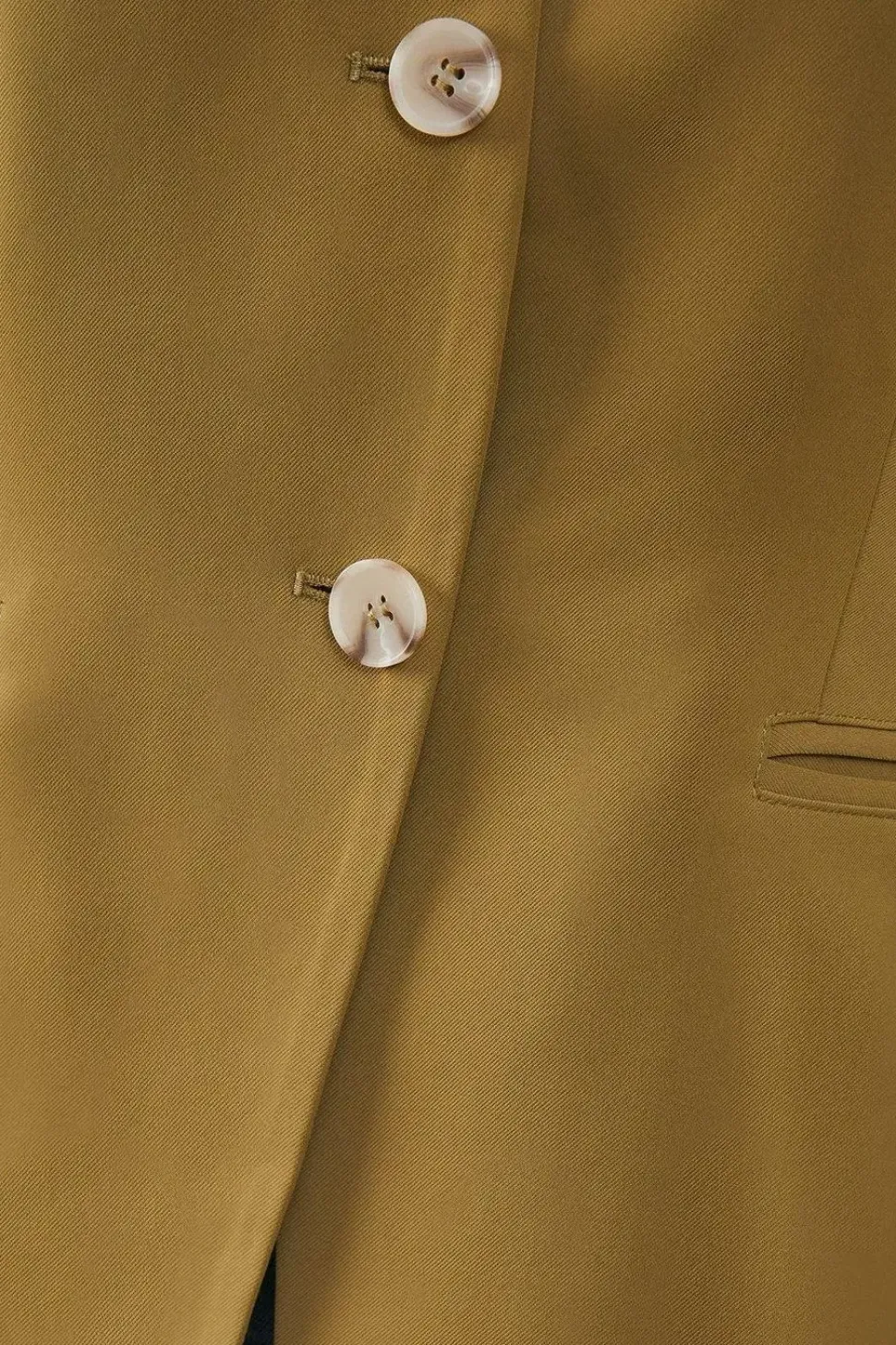 Waisted Fitted Blazer