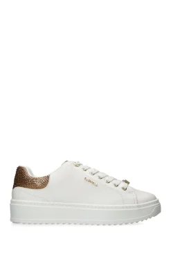 'Dream' Trainers