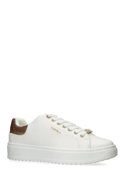 'Dream' Trainers