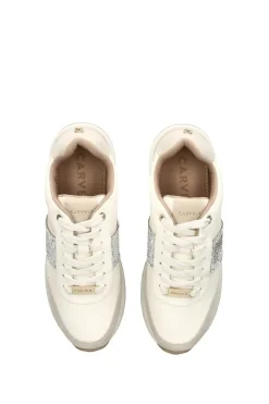 'Fleet'  Trainers
