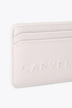 'Frame Cardholder' Bag