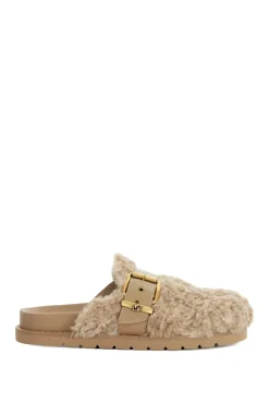 'Glorria' Mules
