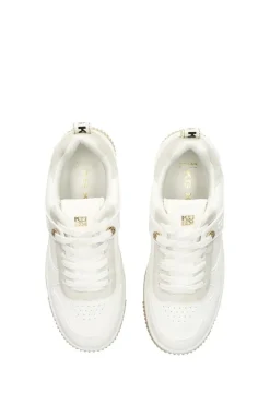 'Landon'  Trainers