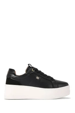'Leader' Trainers