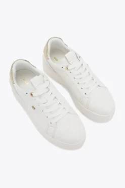 'Leader'  Trainers