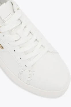 'Leader'  Trainers