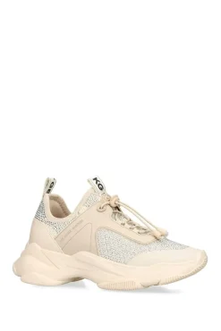 'Leighton Gem'  Trainers