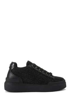 'Lilia'  Trainers