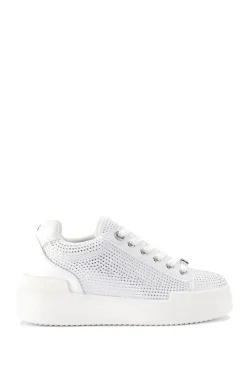 'Lilia'  Trainers