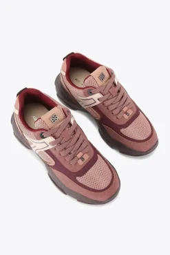'Lucile'  Trainers
