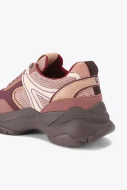 'Lucile'  Trainers