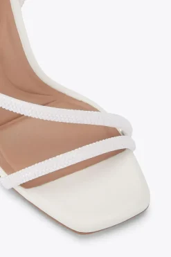 'Paparazzi' Heels