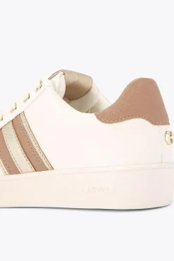 'Rapid' Trainers