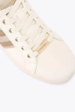 'Rapid' Trainers