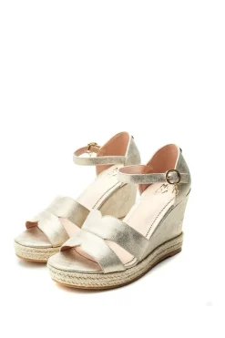 'Rikolia' Porvair Wedges