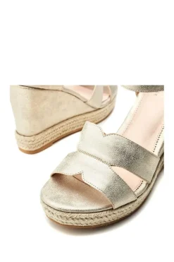 'Rikolia' Porvair Wedges