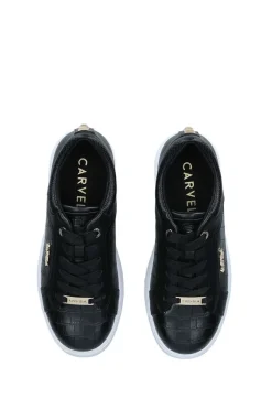 'Soar Stud'  Trainers