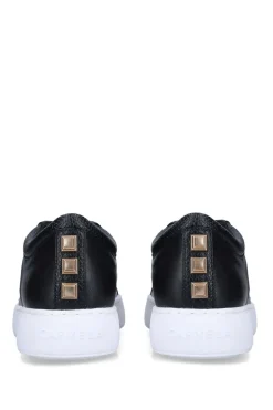 'Soar Stud'  Trainers