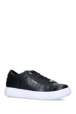 'Soar Stud'  Trainers