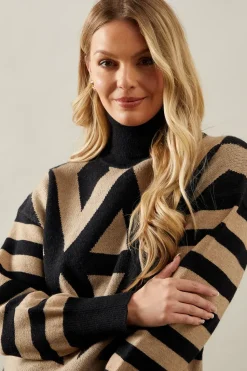 Zig Zag Stripe Roll Neck Jumper